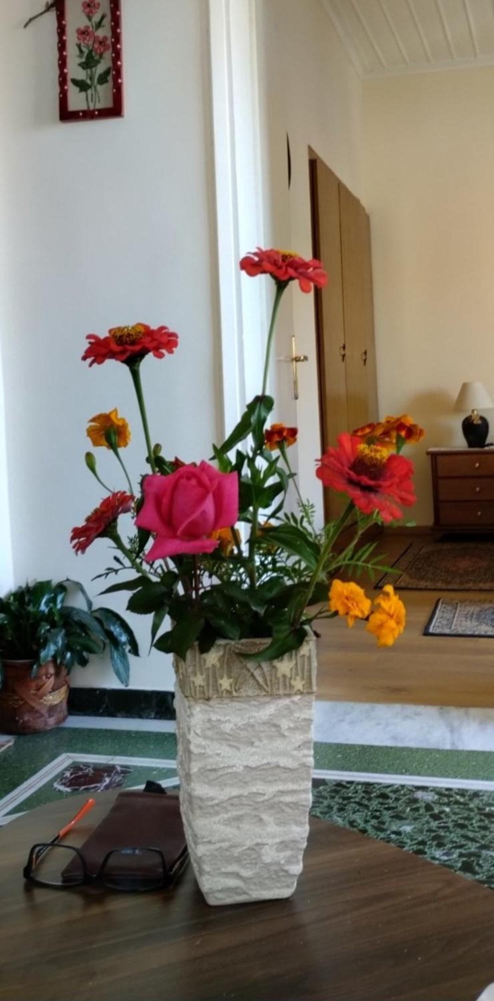 Tanias Apartment Sziátiszta Kültér fotó
